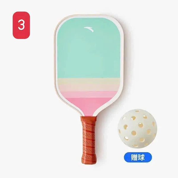 vợt pickleball anta